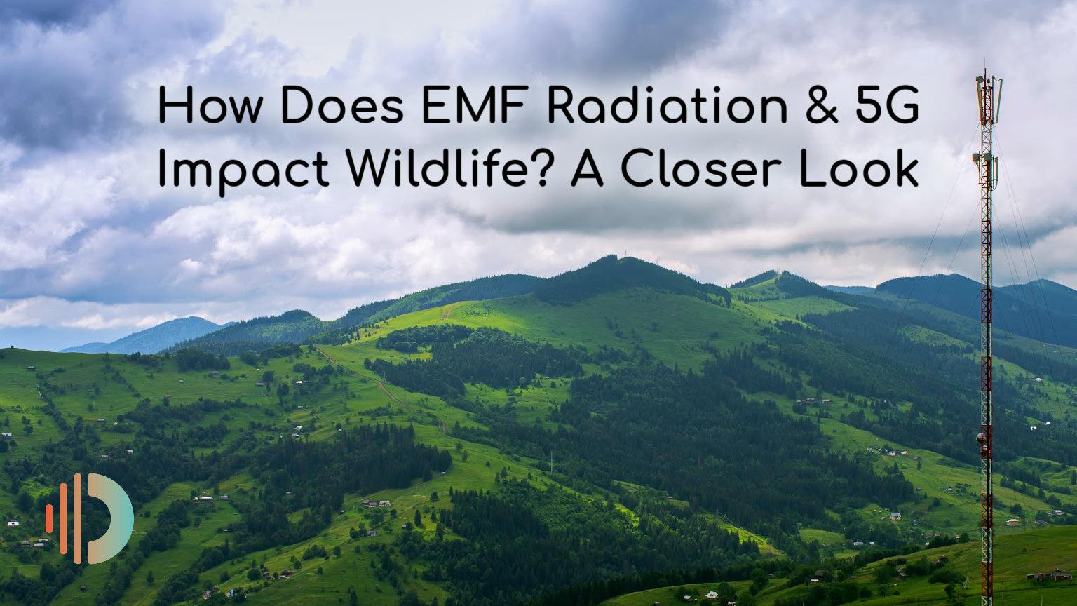 Can EMF Radiation 5G Impact Wildlife? Find Out in Environmental Studies Report