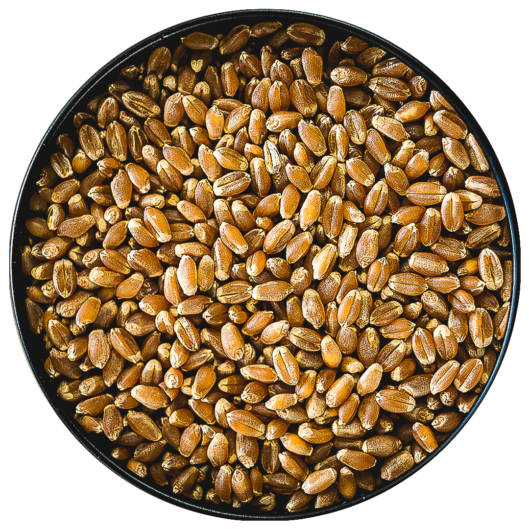 Lacombe, AB Online Organic Produce Store Delivers Grains & Rice To Your Door