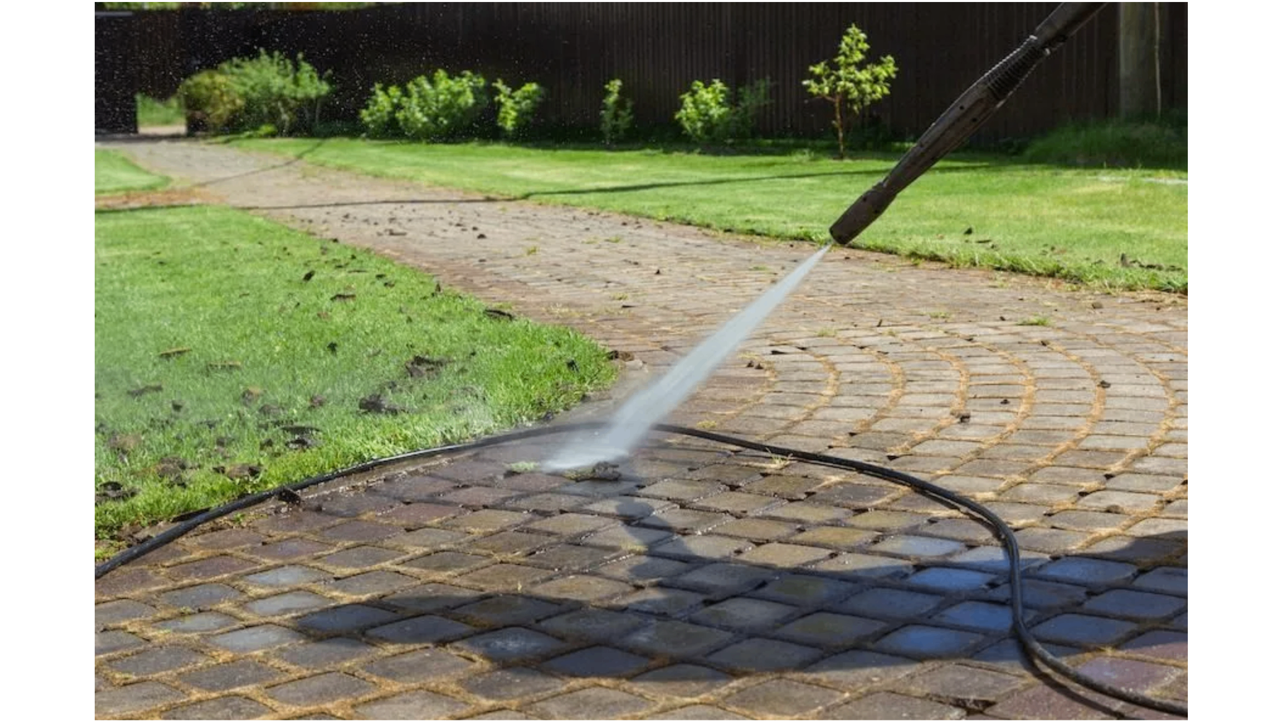Mold & Mildew On Concrete Destroying Your Business Rep? Monmouth Pro Offers Tips