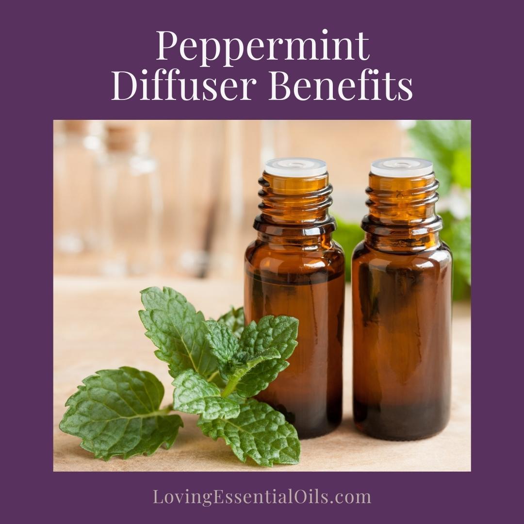 Vanilla Mint Room Spray: Best Peppermint Essential Oil Air Freshener Recipe