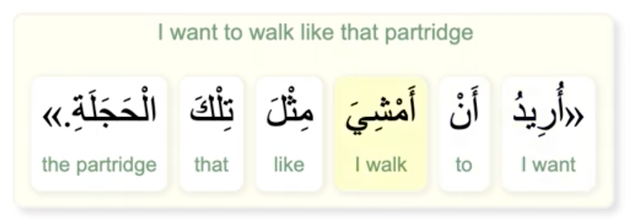 Immersive-Audio Arabic Language App, to Tackle Literary Arabic More Naturally