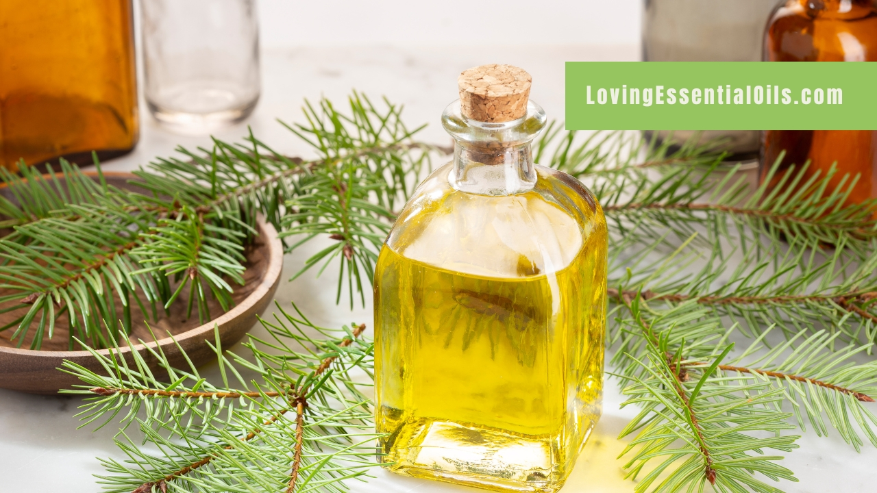 Homemade Pine Oil Blends to Scent the Home with Aromatherapy Benefits