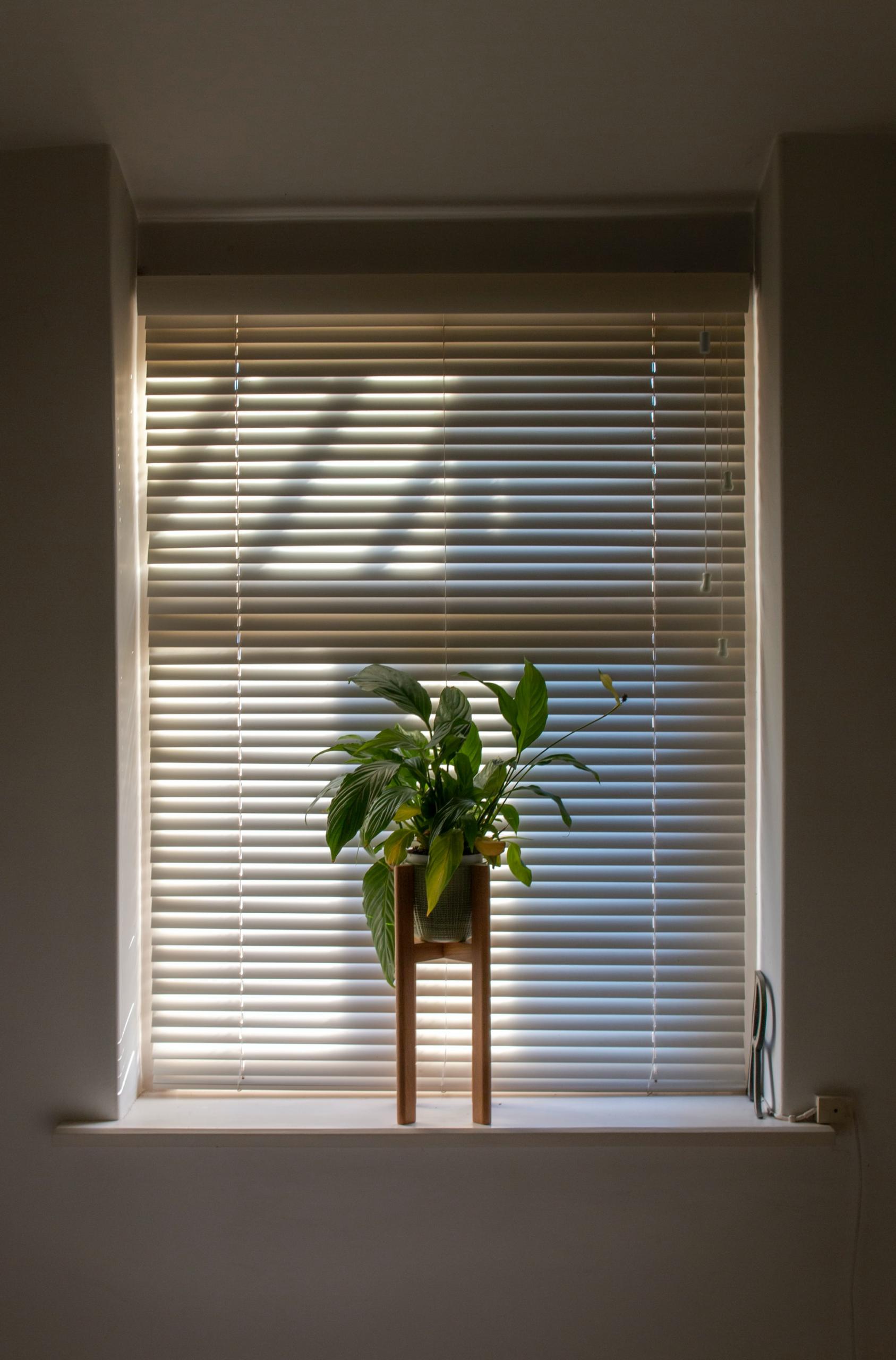 Local in-home window blinds covers design evaluation service in Escondido