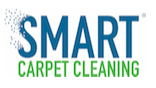 Smart Carpet Cleaning Takes 30 Minutes To Dry With No Open Windows For Winter