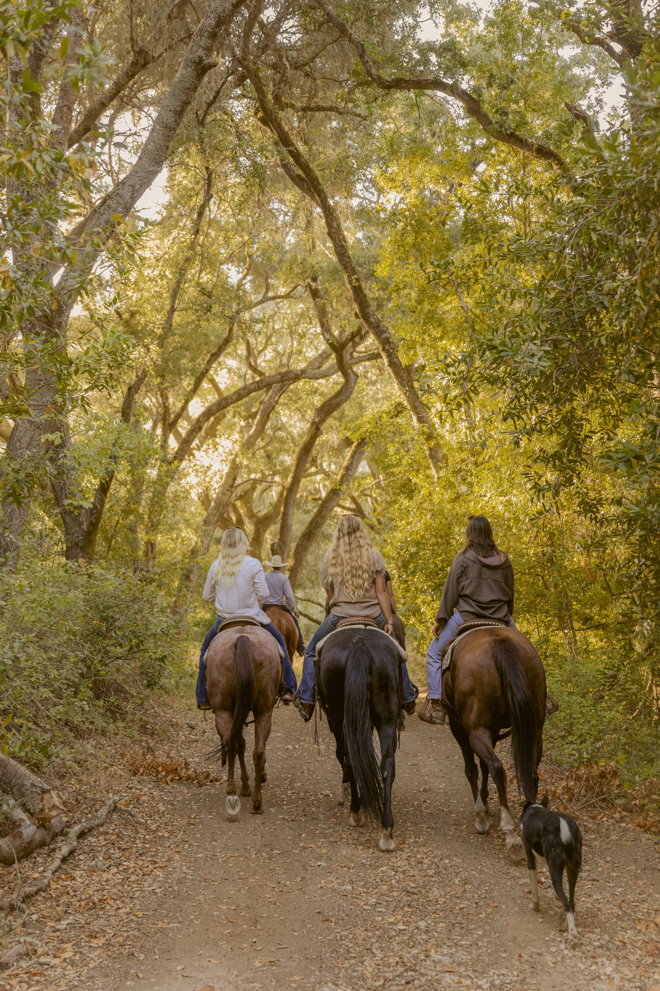 The Absolute Best Horseback Riding Experience in Paso Robles