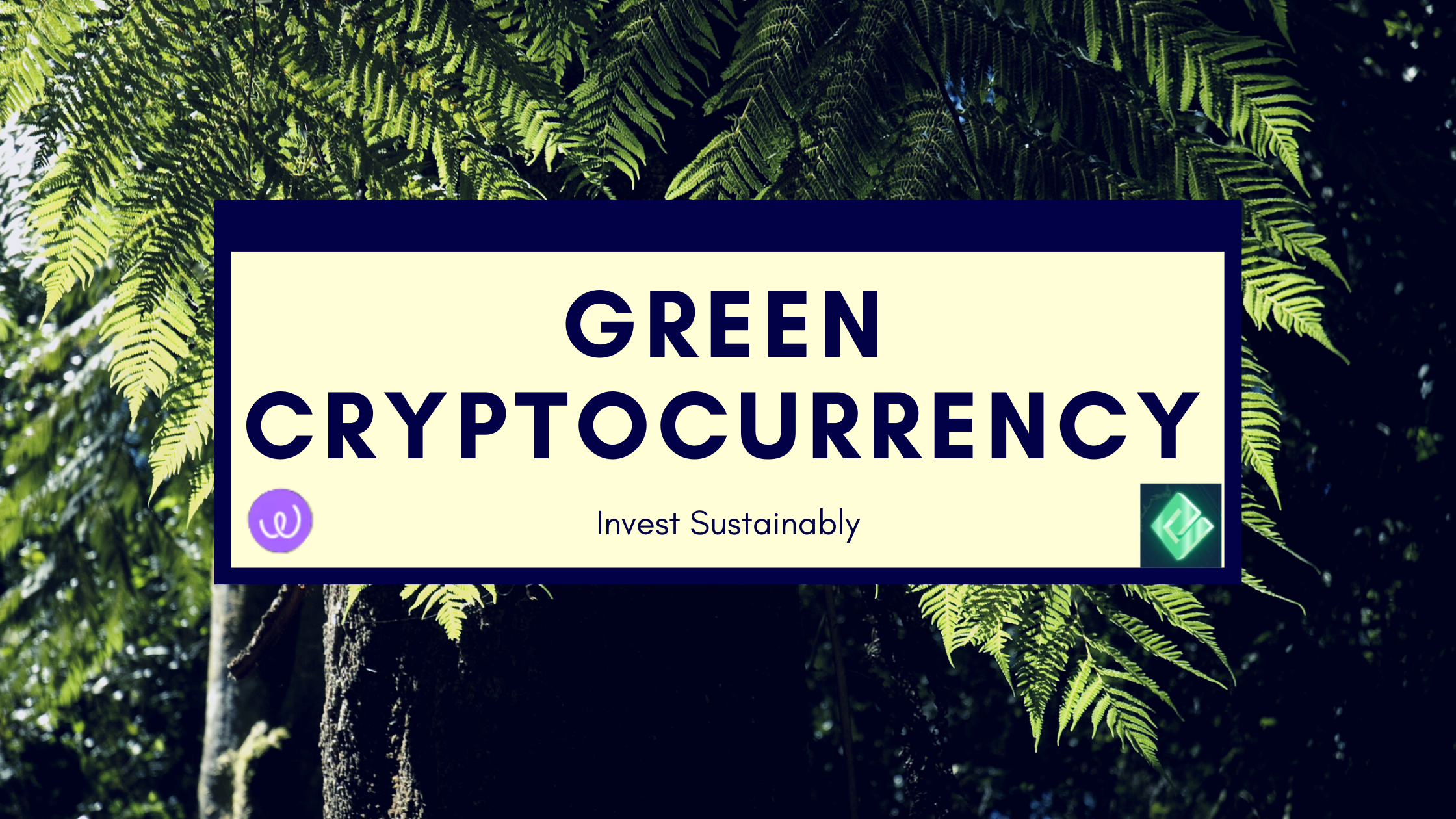 The Best Source for the Latest News on Eco-Friendly Crypto Launched in 2022