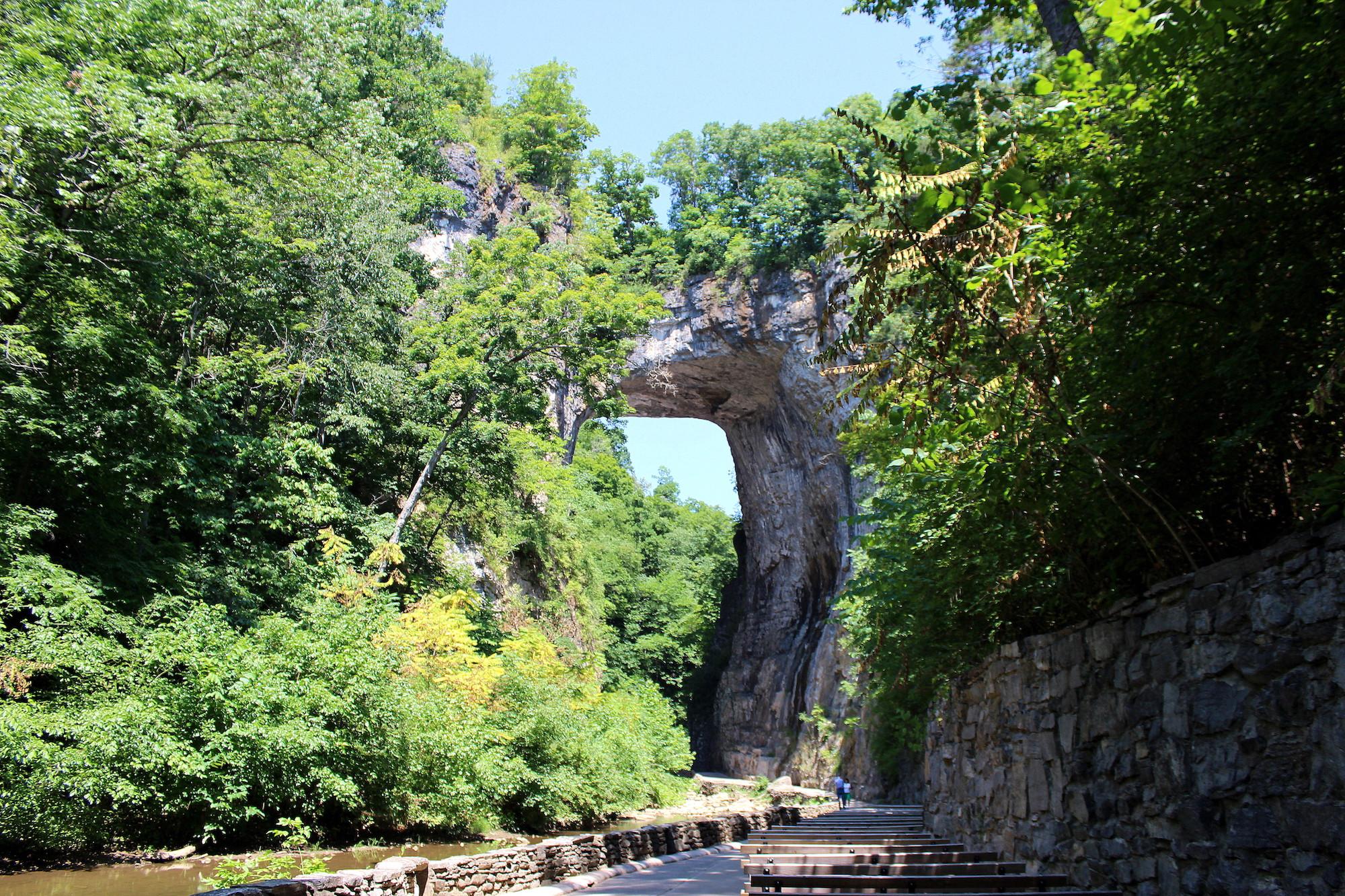 Calling all Nature Lovers - Virginia's Blue Ridge is for You!