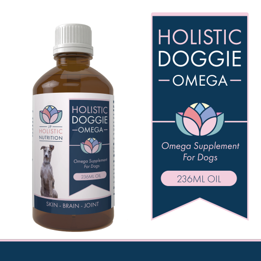 Get The Best UK Holistic Nutraceutical Supplements For Dog's Quality Of Life