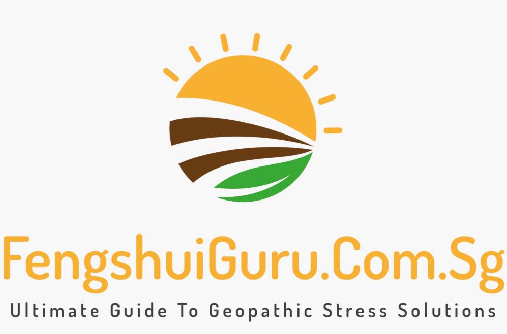 Singapore Based Fengshui Guru Mahavir Videsh Launching Fengshui Guru Web Portal