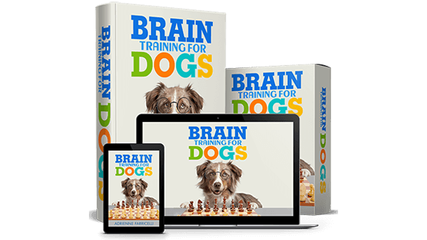 Unlock Your Dog's Potential: Discover the Surprising Benefits of Brain Training