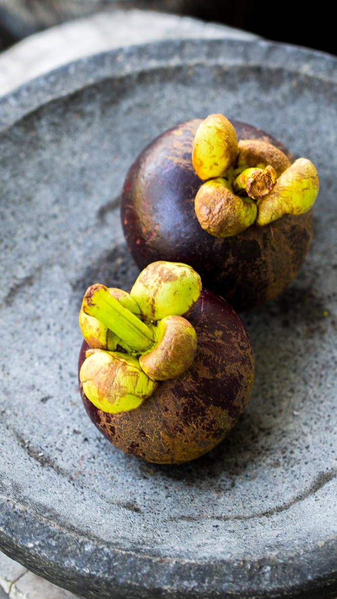 Transform your wellness with Xanthone Solutions' new website about Mangosteen
