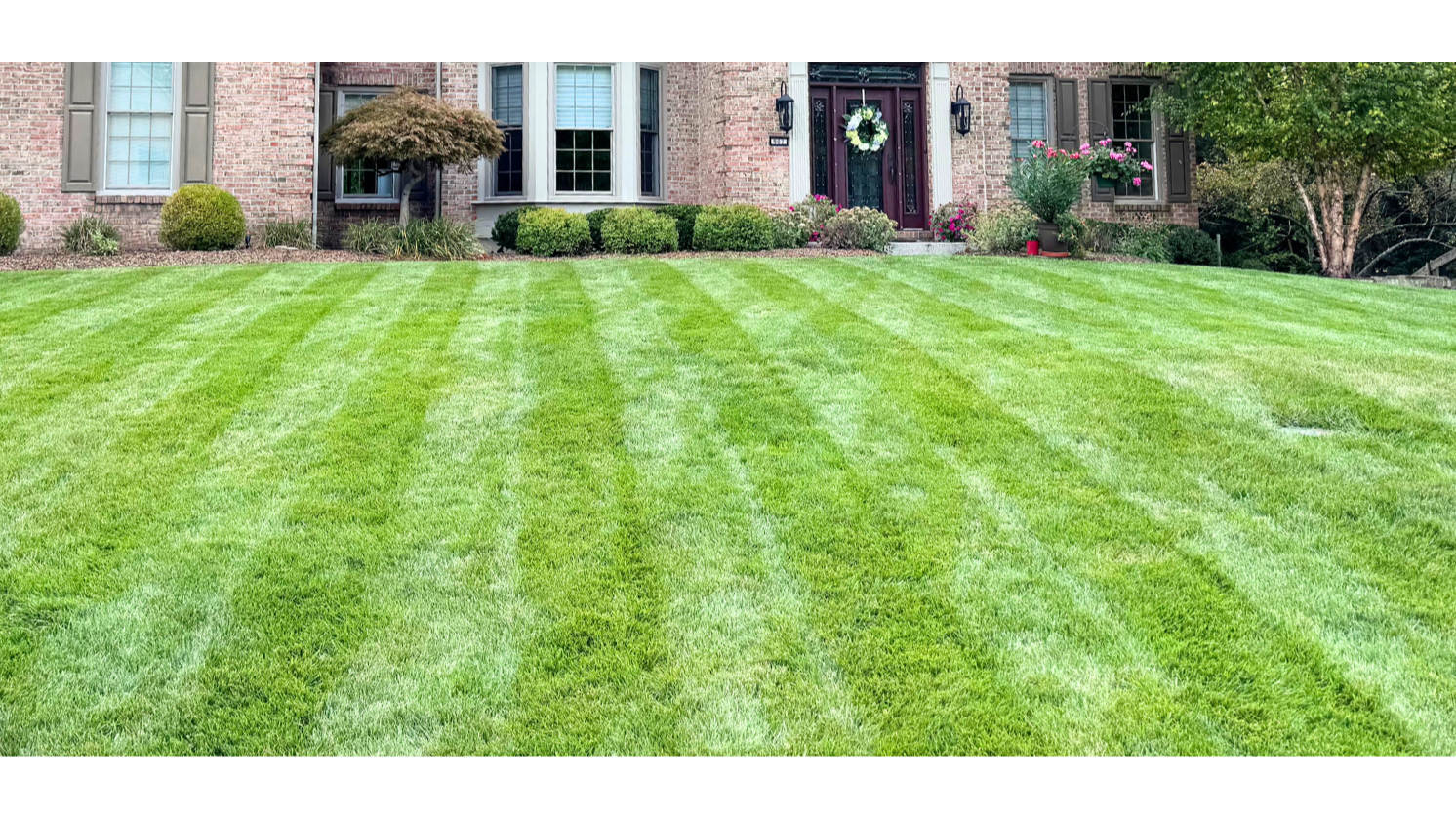Does Temperature Matter For Your Lawn Treatments? Cincinnati Landscaper Explains