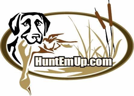 Get High-Quality Sporting Dog Training Equipment/Supplies From This Online Store