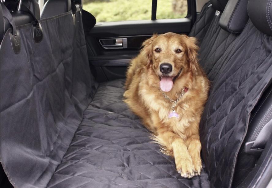 Get The Best Dog Seat Cover For Vehicle Stain Protection & In-Car Pet Comfort