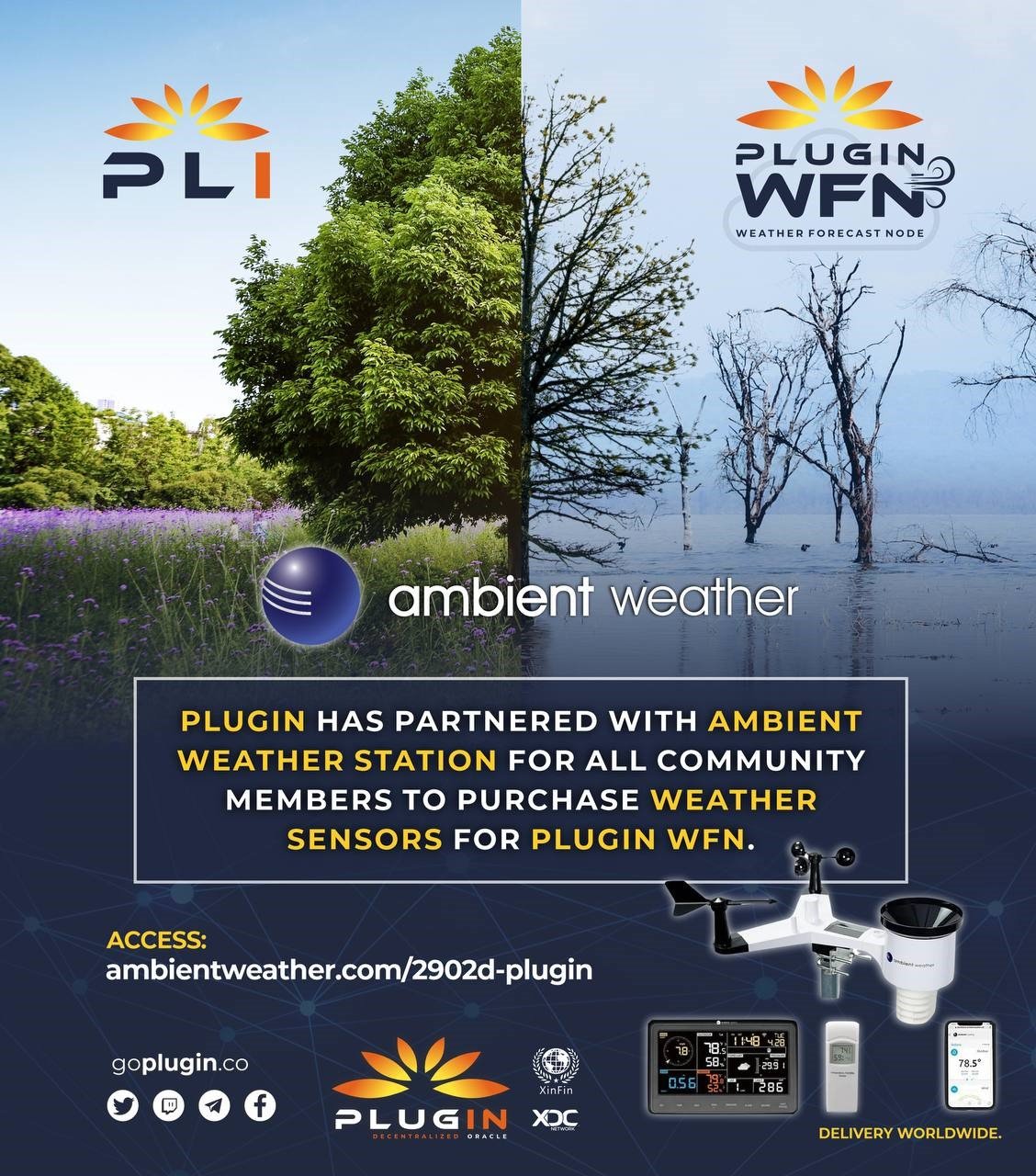 Plugin & Ambient Weather Partnership Solution Now Available for Organizations