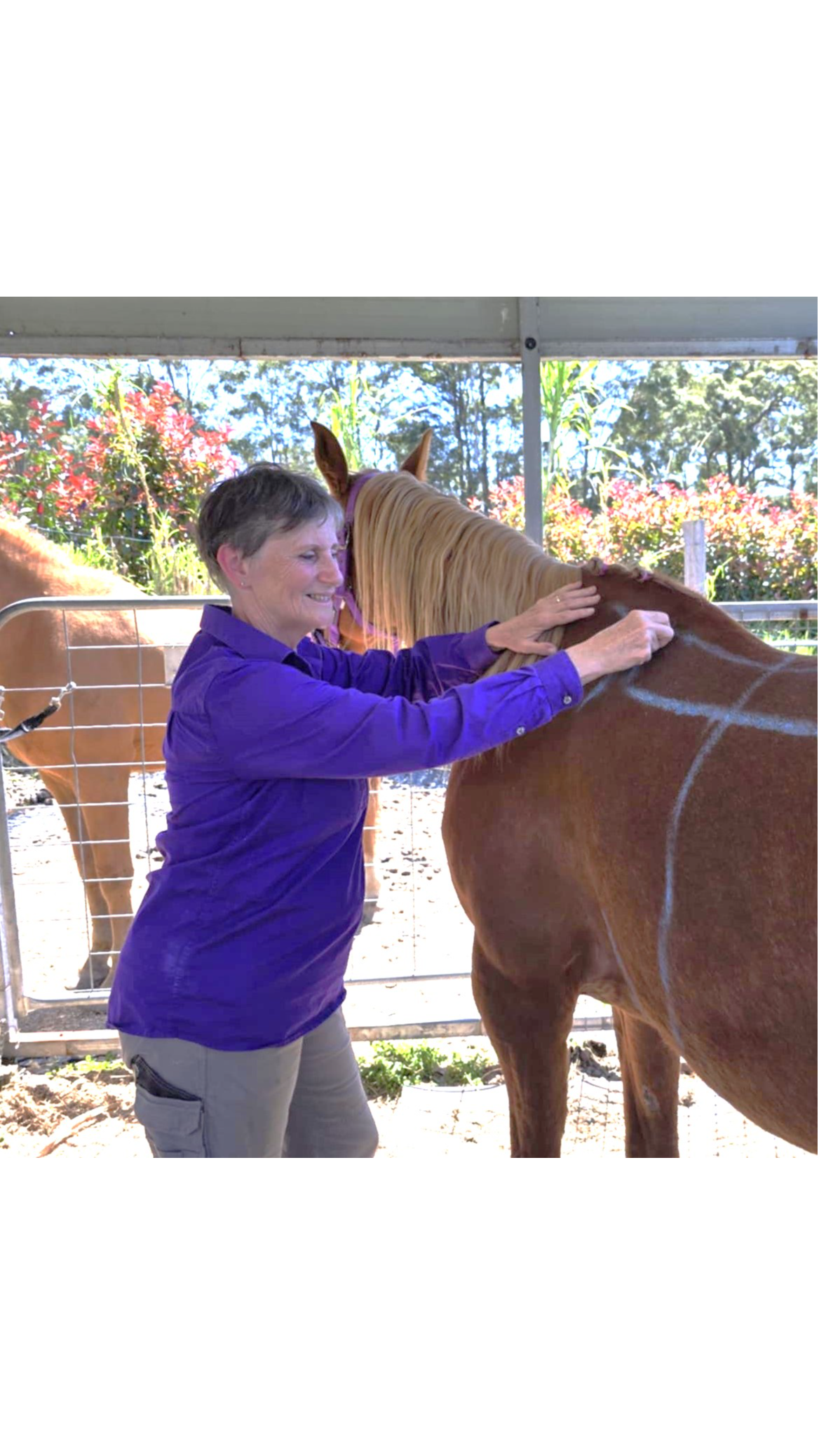 The first step to saddlefit explained: Join Self-Paced Equine Education Course