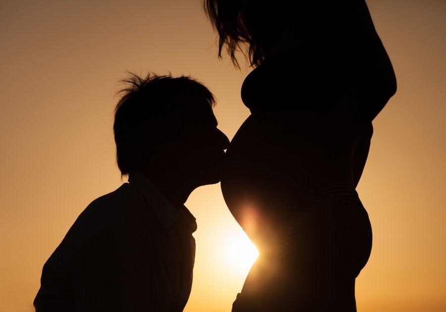 The Perfect Pregnancy Program to Improve Fertility by Vesna Pavlica