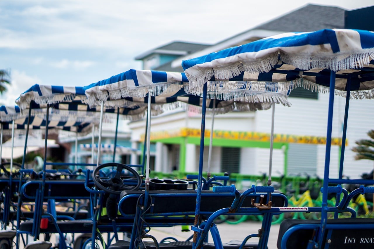 Galveston, TX Pet Friendly Vacation On A Budget: Where To Stay, What To Do