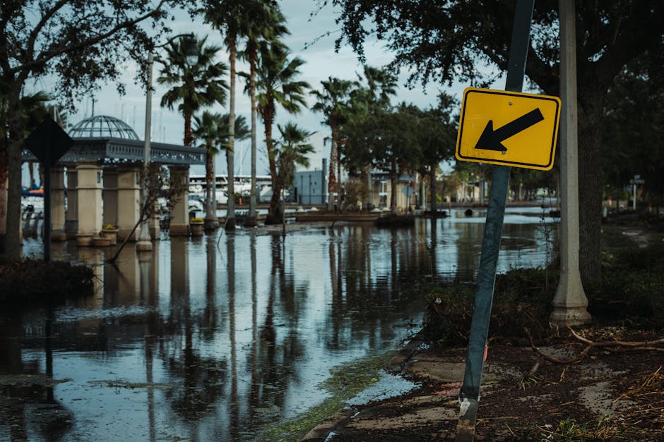 How to Hurricane-Proof a House: Protection Strategies Orlando Homeowners Use