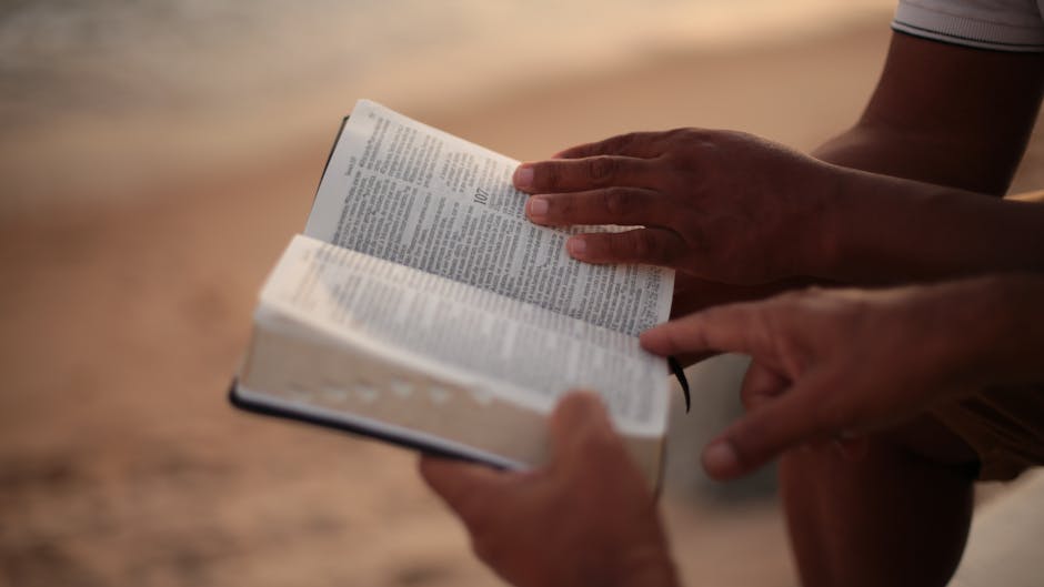 How to Study the Bible: Understanding God's Plan From Genesis to Revelation