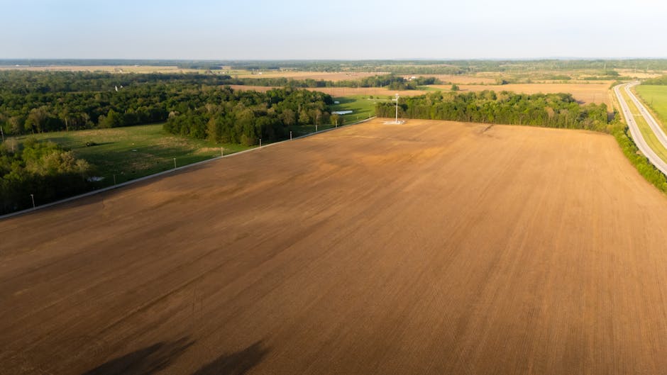 Behind On Land Taxes: Experts Explain Why Selling Is The Smart Decision