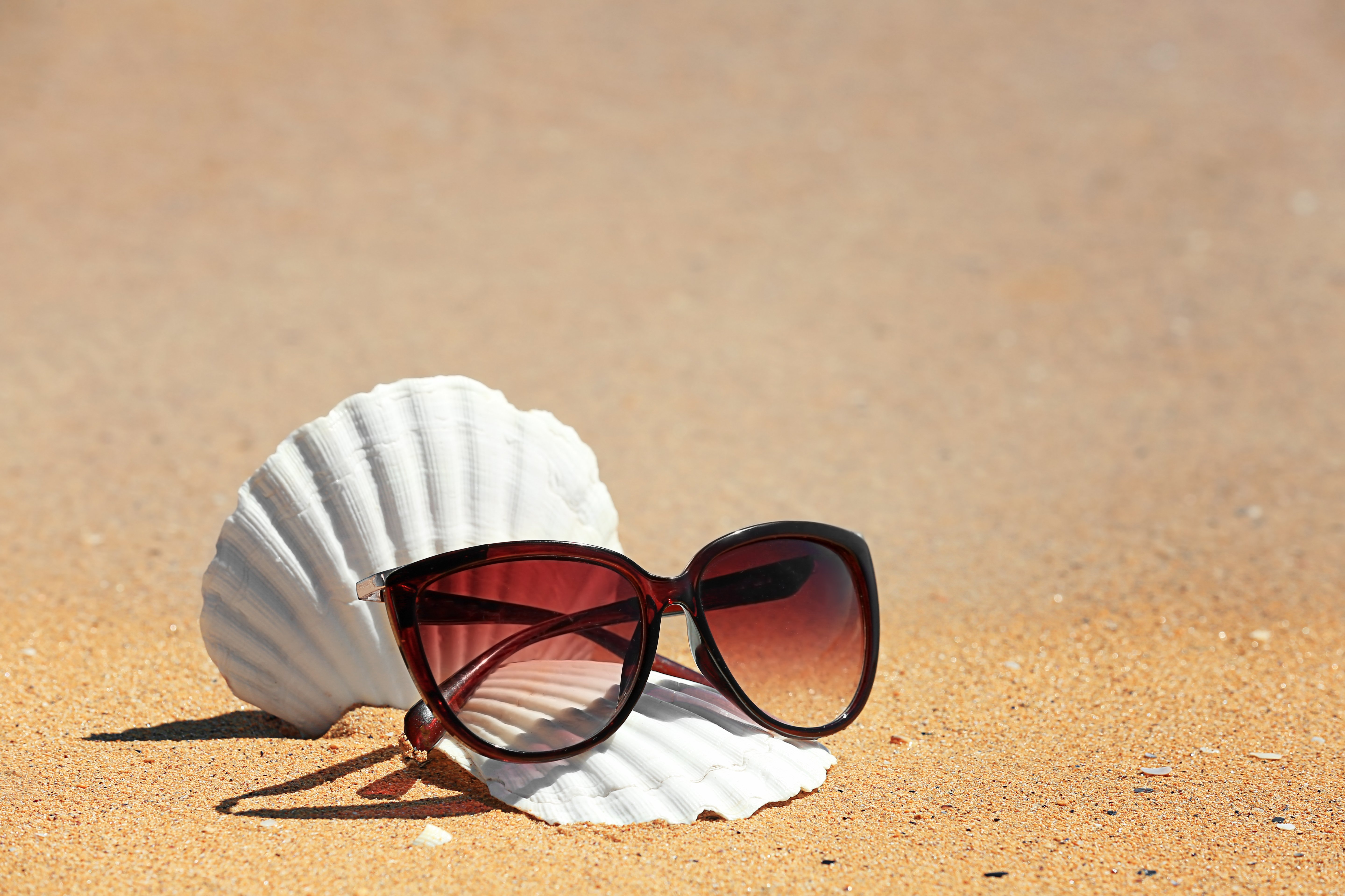 Bifocal Reading Sunglasses: How to Choose the Right Pair for Outdoor Use