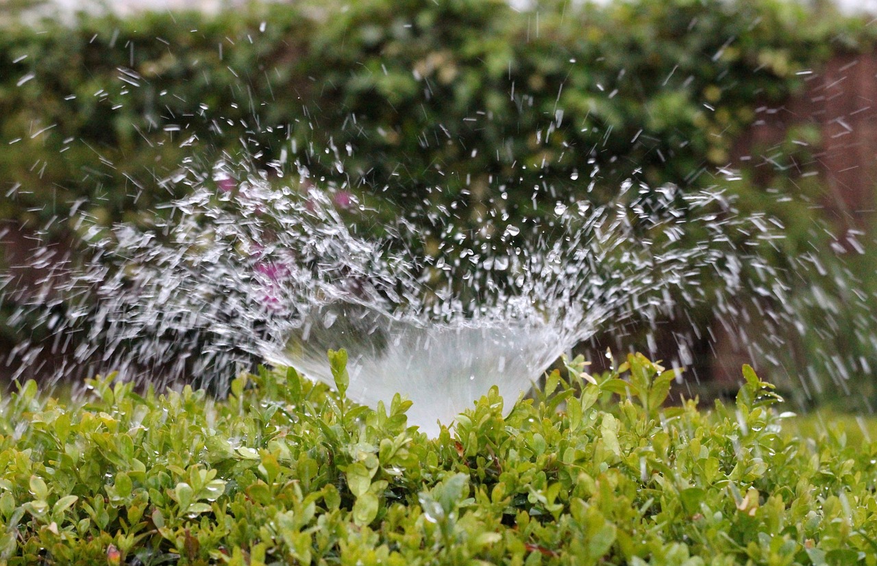 Frisco Lawn Care: Irrigation Practices To Help You Conserve Water In Summer