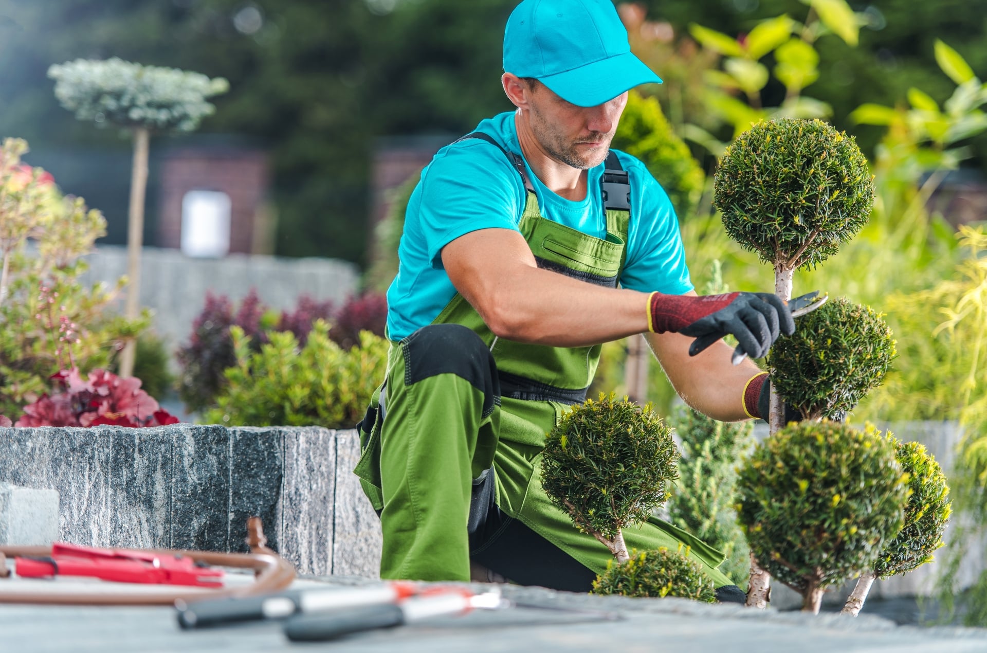 What Should Landscaping Cost? Brooklyn Plant Specialist Reveals Rates
