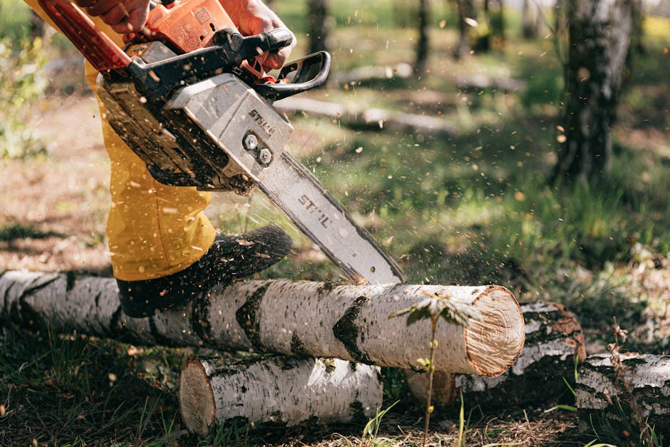 Carbide vs Steel Chainsaw Chains: Which Is Better for Commercial Logging?