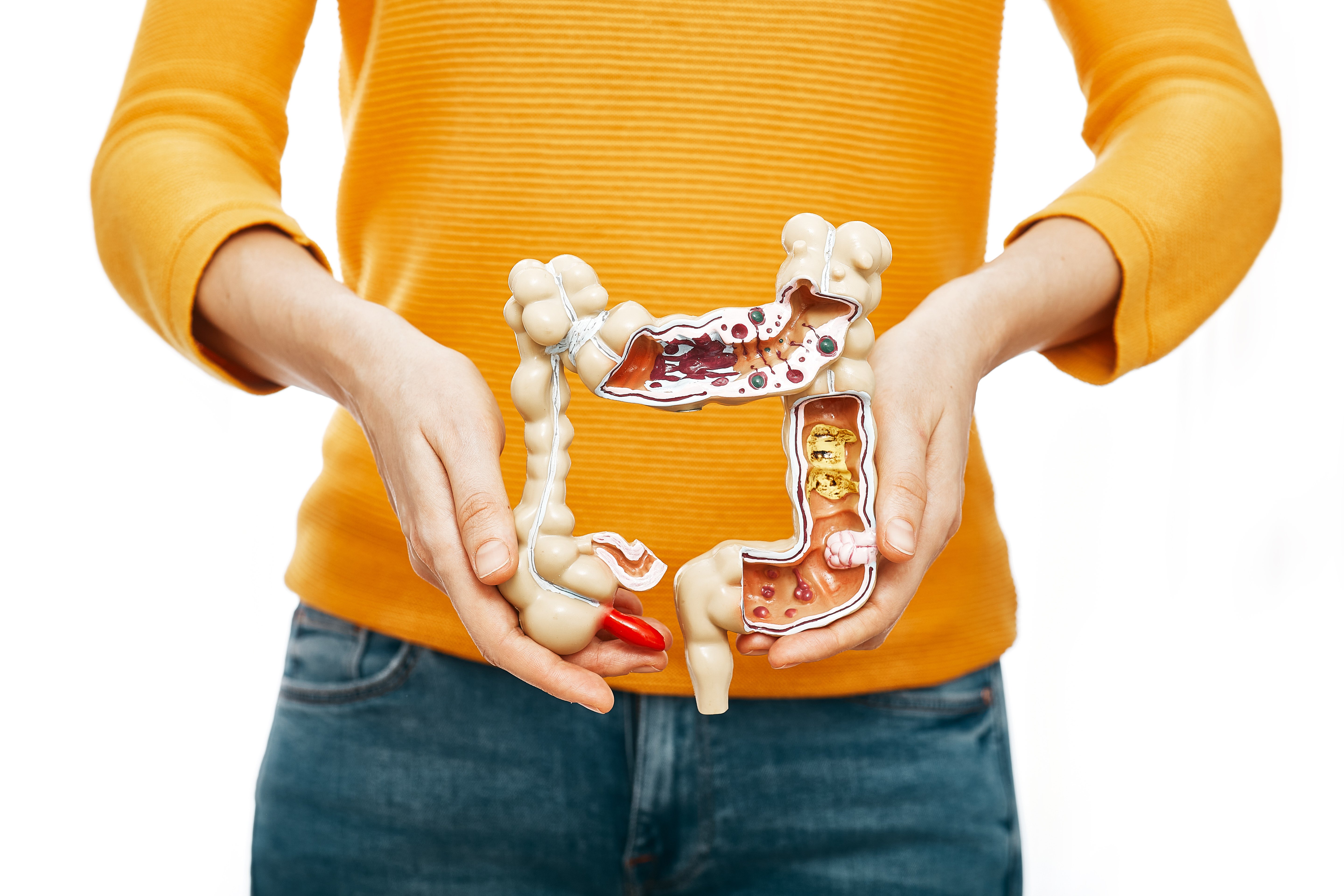 How Long Does it Take to Treat SIBO Naturally? Herbal Remedies & Diet Options