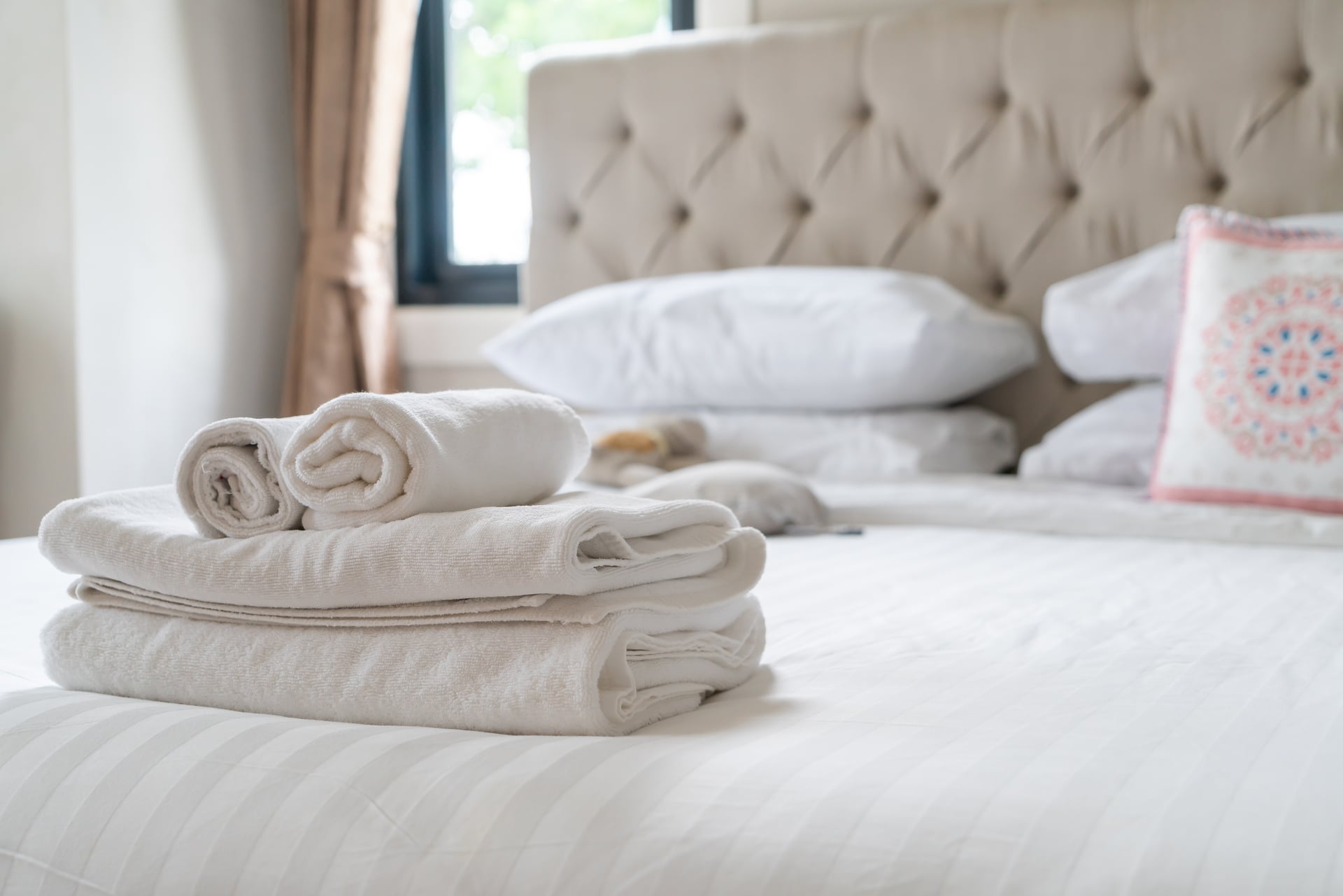 Cotton vs Silk: Which Is Best For Sleep & Bedding?