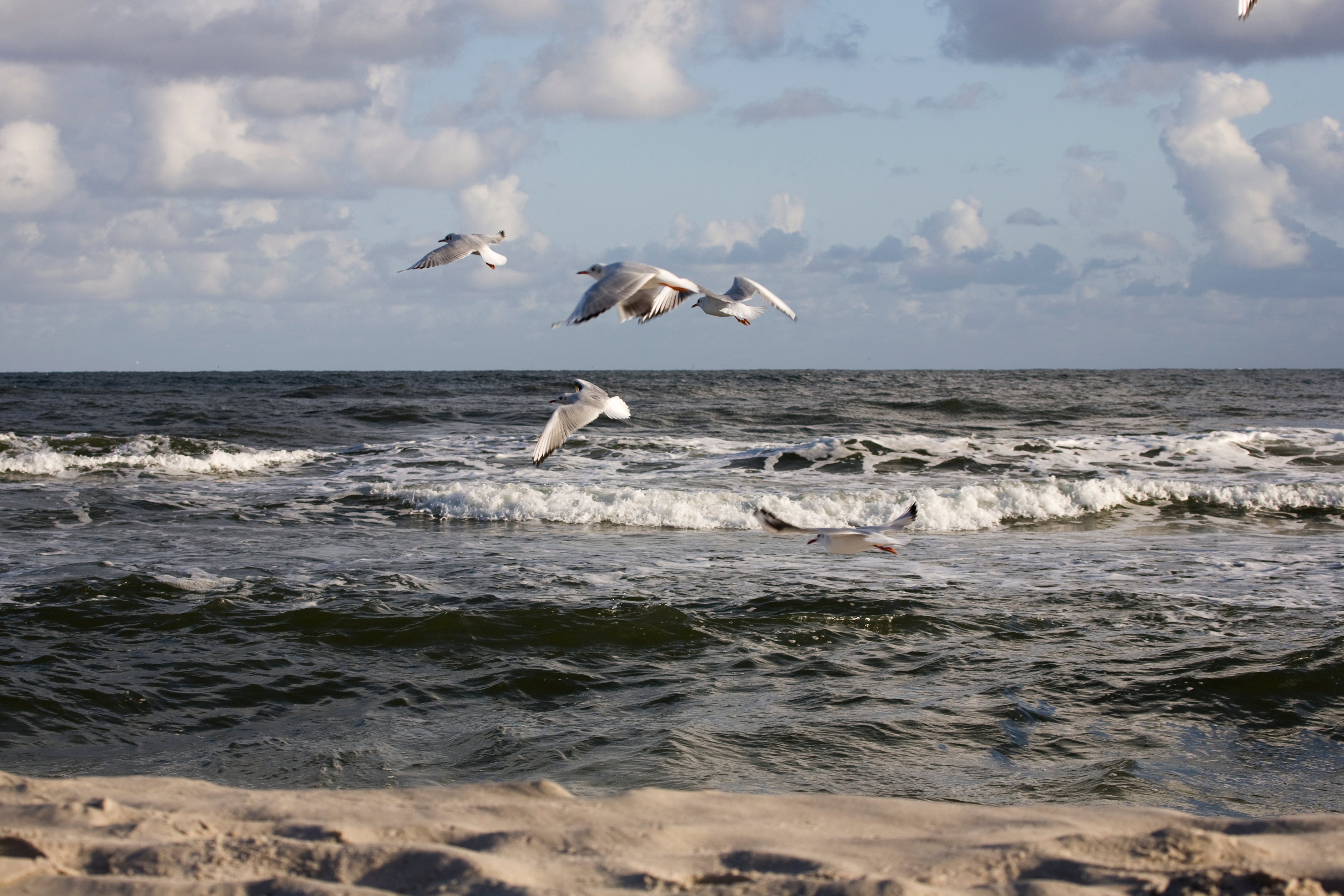 Biloxi Beachfront Rental Property With Pool: Tips, Amenities, & Attractions