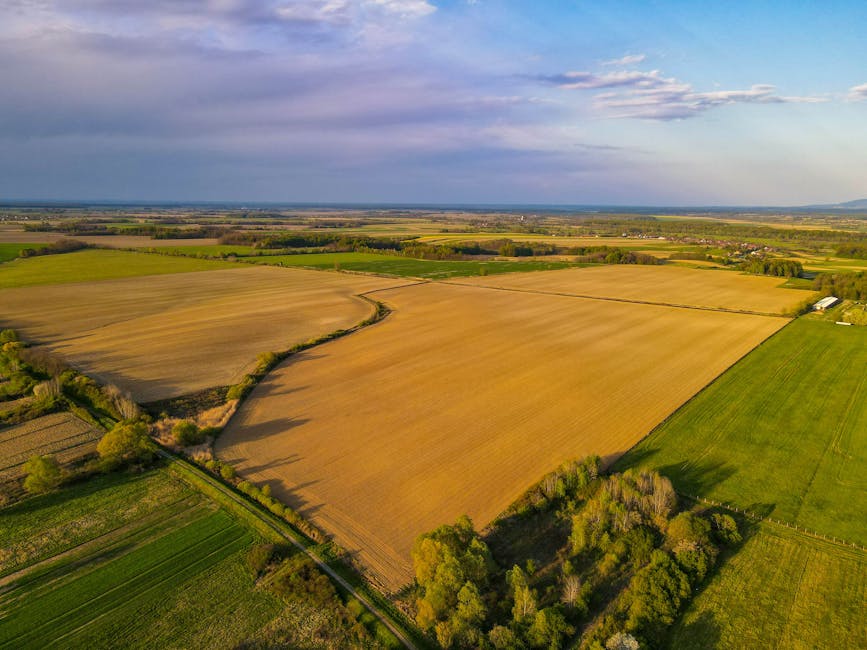 How To Sell Land From Out Of State: OK Experts Offer Tips For Remote Sales