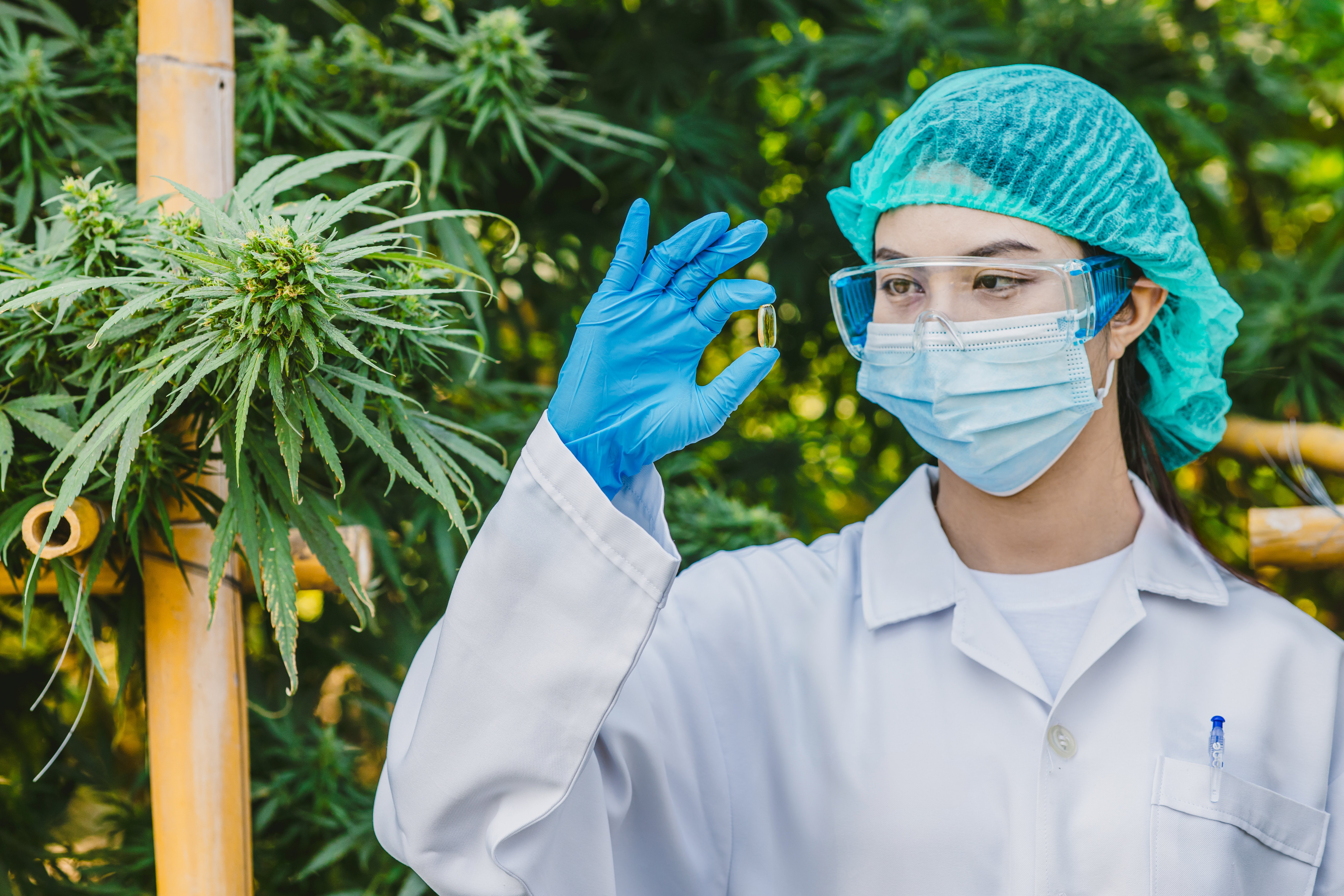 EU GMP Requirements for Medical Cannabis: A Guide to Compliant Facility Design