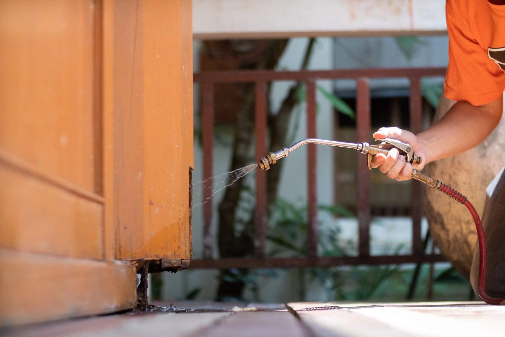 Spring Pest Control in Omaha: What Nebraska Homes Need Now