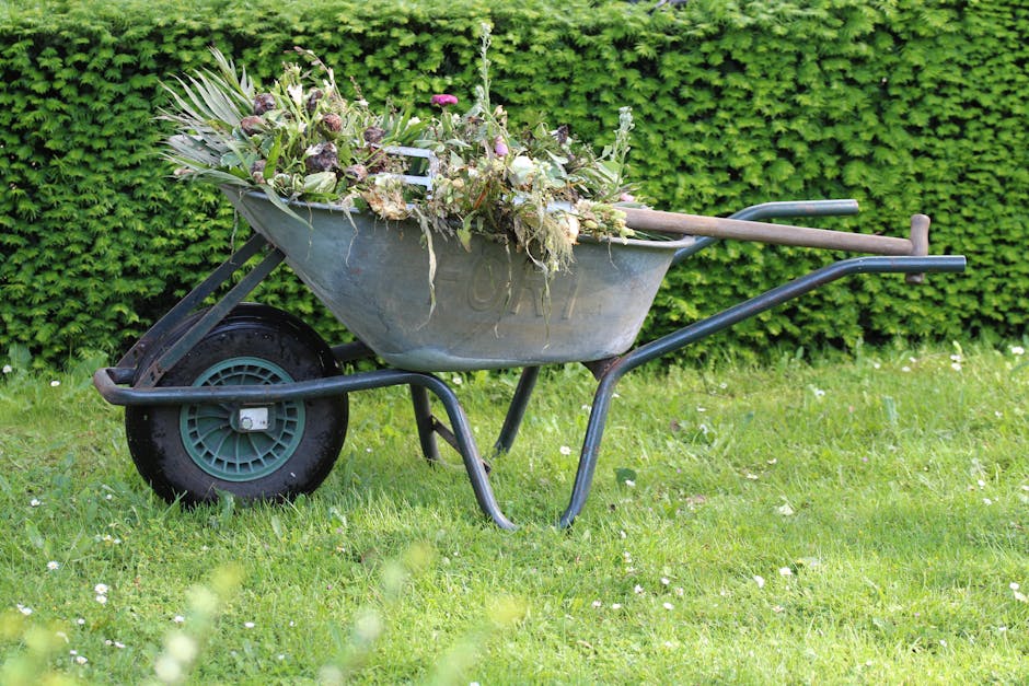 Yard Waste Removal: DIY vs Professional Service Compared By West Boylston Expert