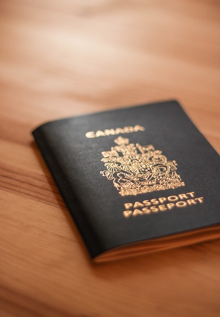 The Best Dubai Immigration Consulting Group Offers Path To Canadian Citizenship