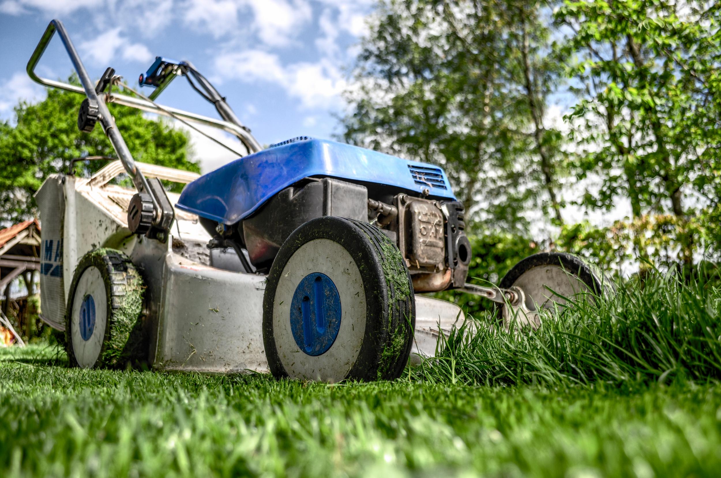 Improve The Quality & Health Of Your Springfield, WI Lawn With Expert Yard Care