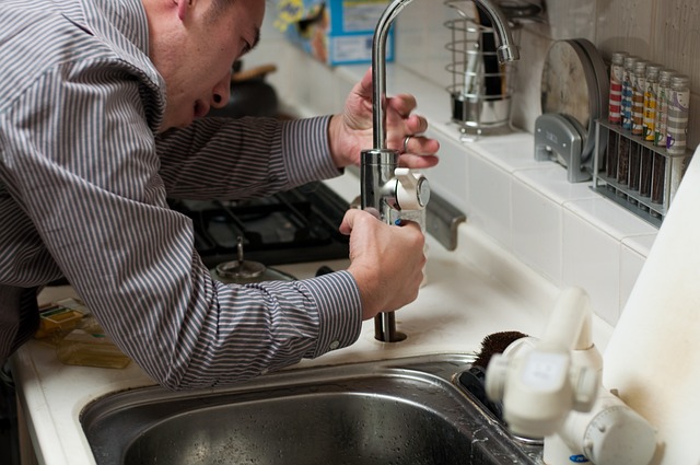 24 Hour Plumber Near Me Avondale Goodyear: Get Leak & Mould Damage Service Quote