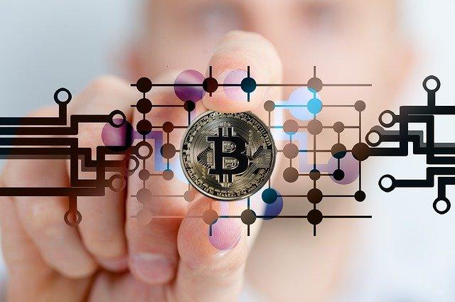 Crypto Trading Software Could Help Beginner Investors in 2022