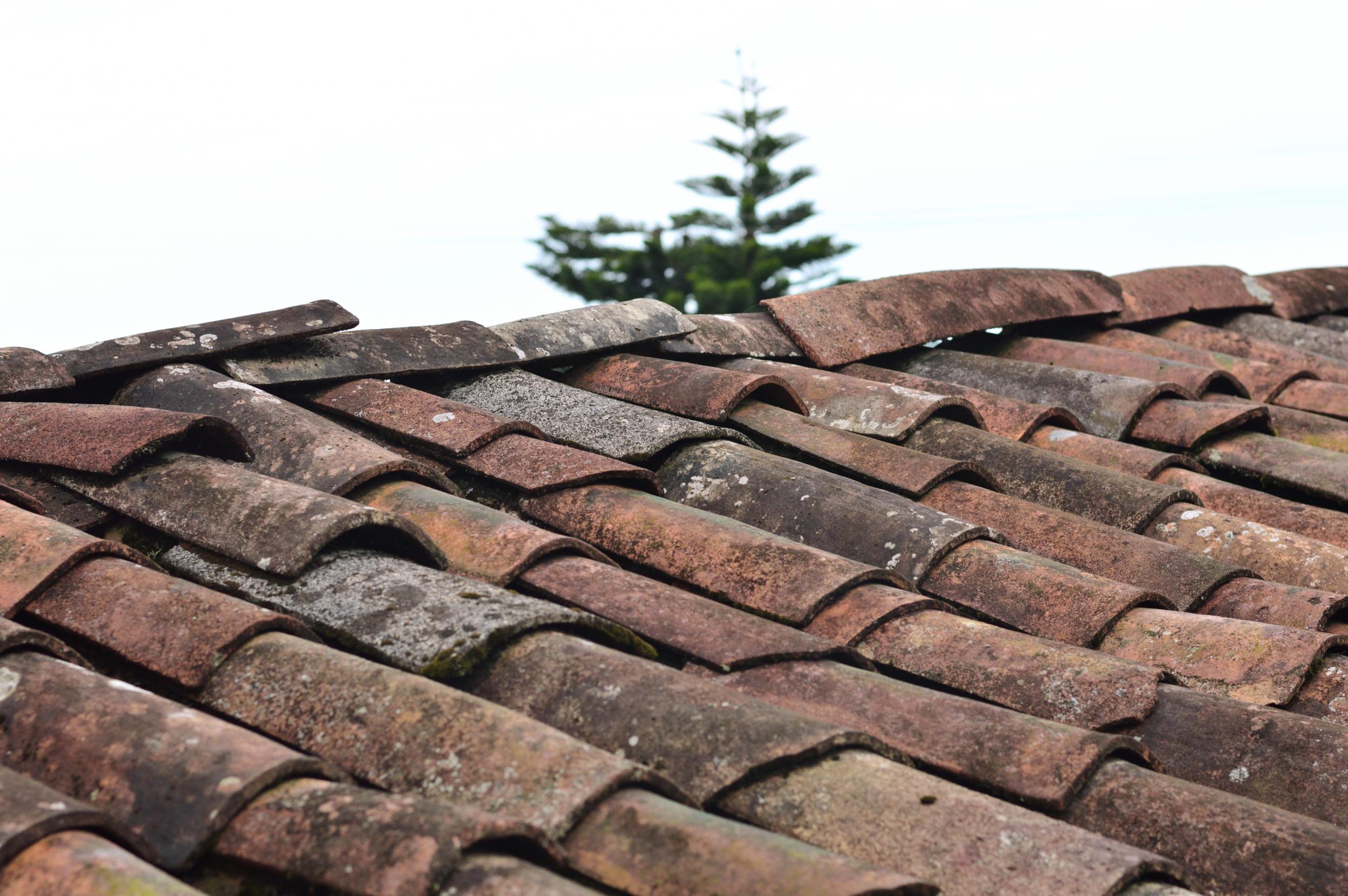 Signs You Might Need a New Roof: The Roofman Tells All
