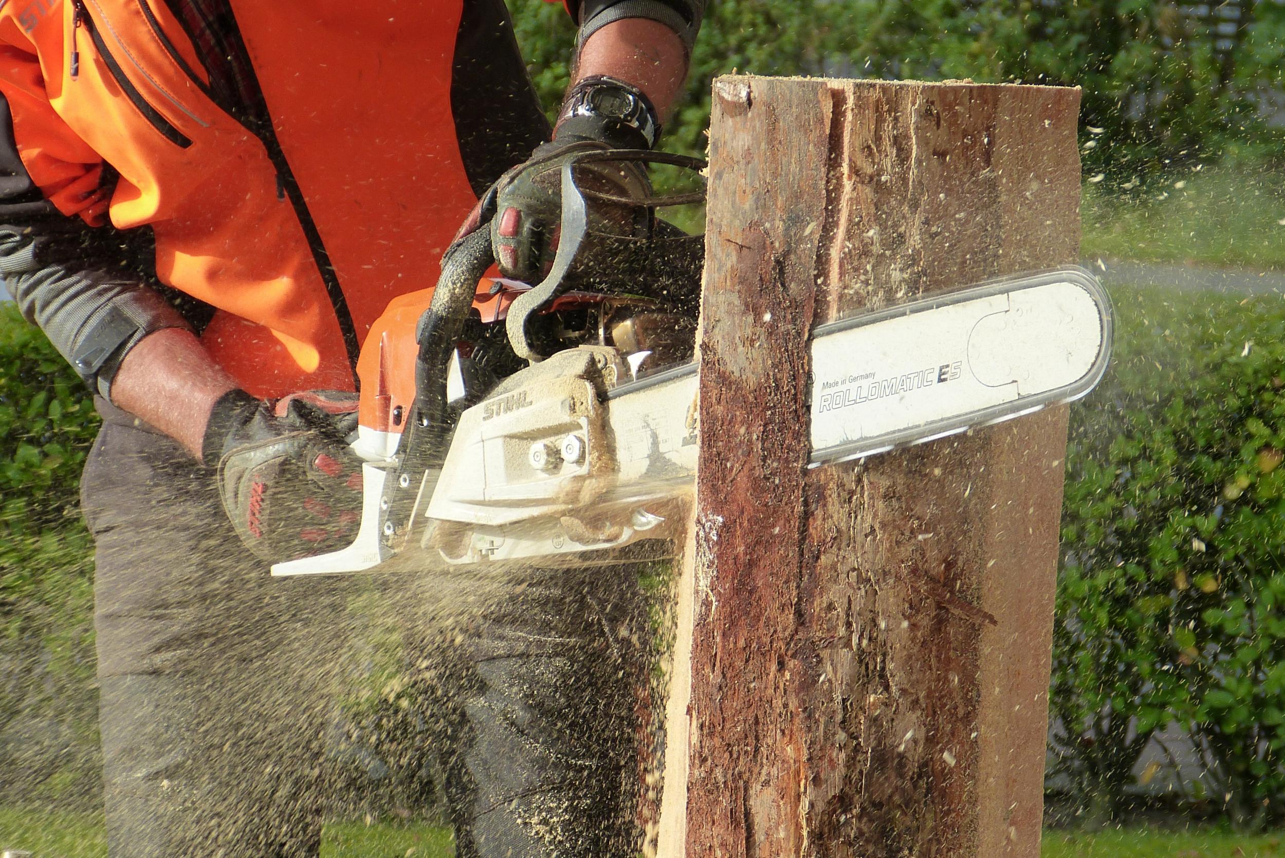 Need Tree Removal Or Cutting? Get Expert Tree Surgeons Services In Uxbridge